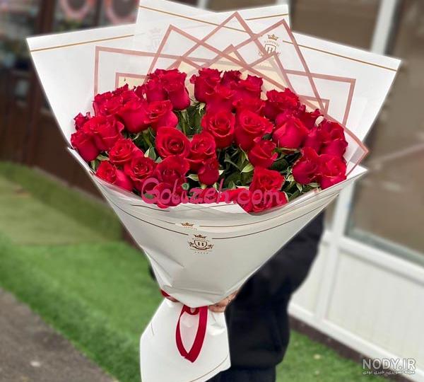 عکس گل زیبا رز قرمز