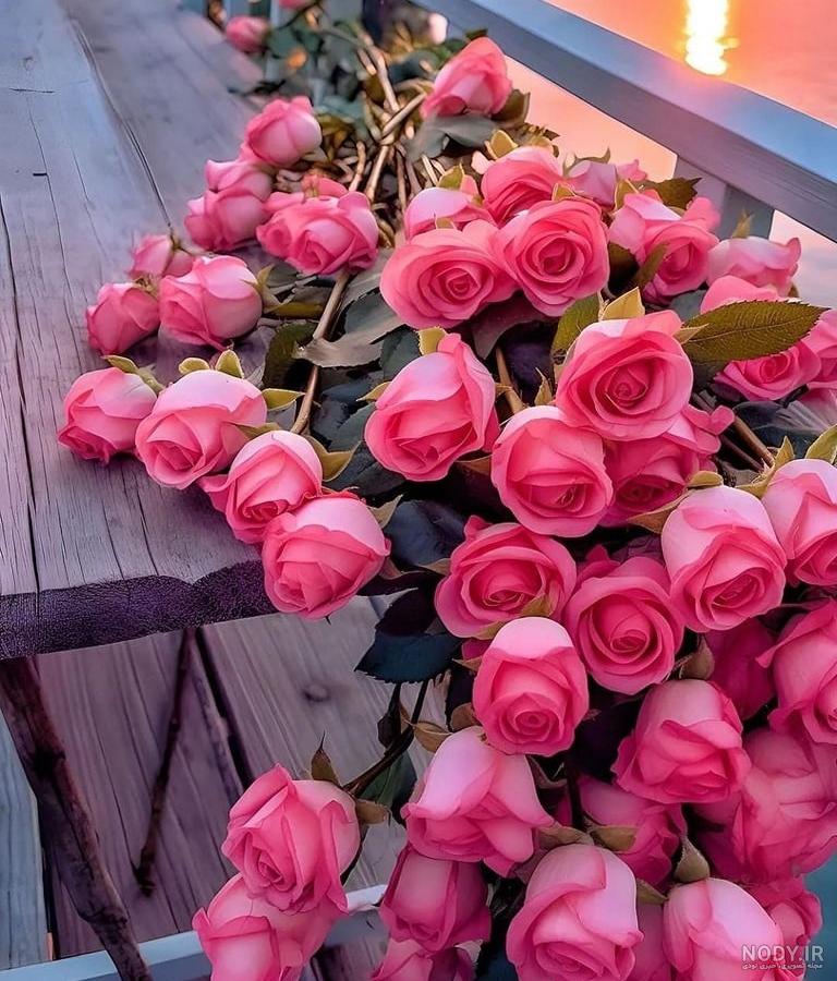 عکس گل های صورتی زیبا عکس گل های صورتی زیبا