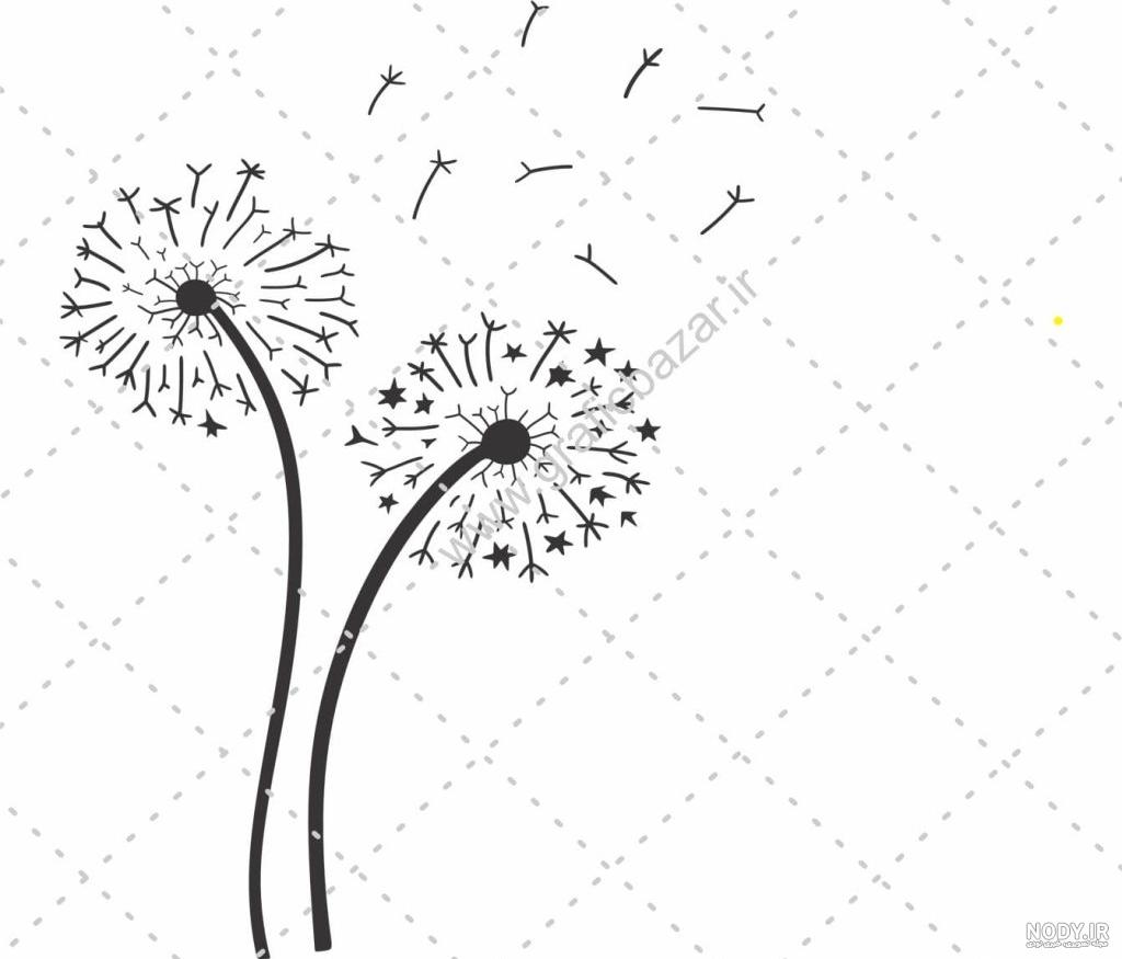 29 خاصیت درمانی گل قاصدک و موارد منع مصرف آن