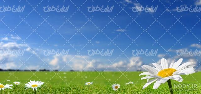 9 نکته برای عکاسی زیبا از منظره بهاری 9 نکته برای عکاسی زیبا از منظره بهاری