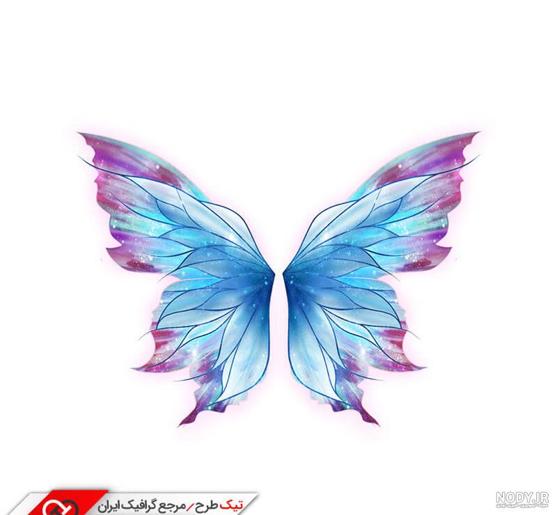 دانلود تصاویر با کیفیت پروانه آبی دانلود تصاویر با کیفیت پروانه آبی