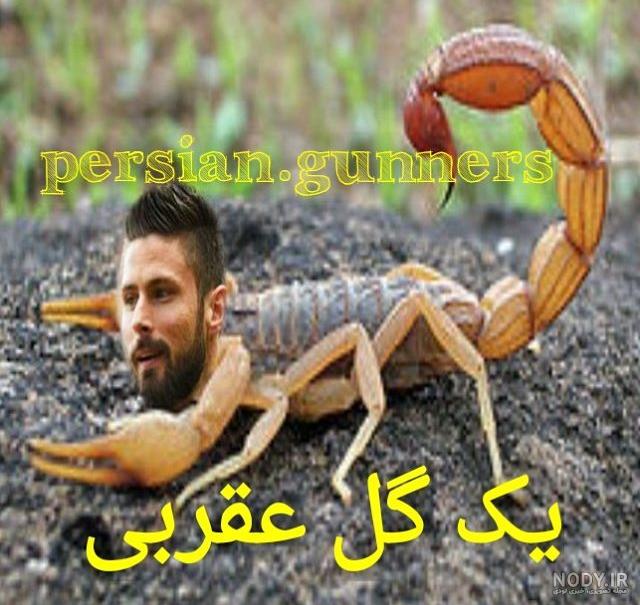 عقرب چگونه موجودی است؟ | آیا تمام عقرب ها خطرناک هستند؟| عقرب - Scorpion |  میهن سم
