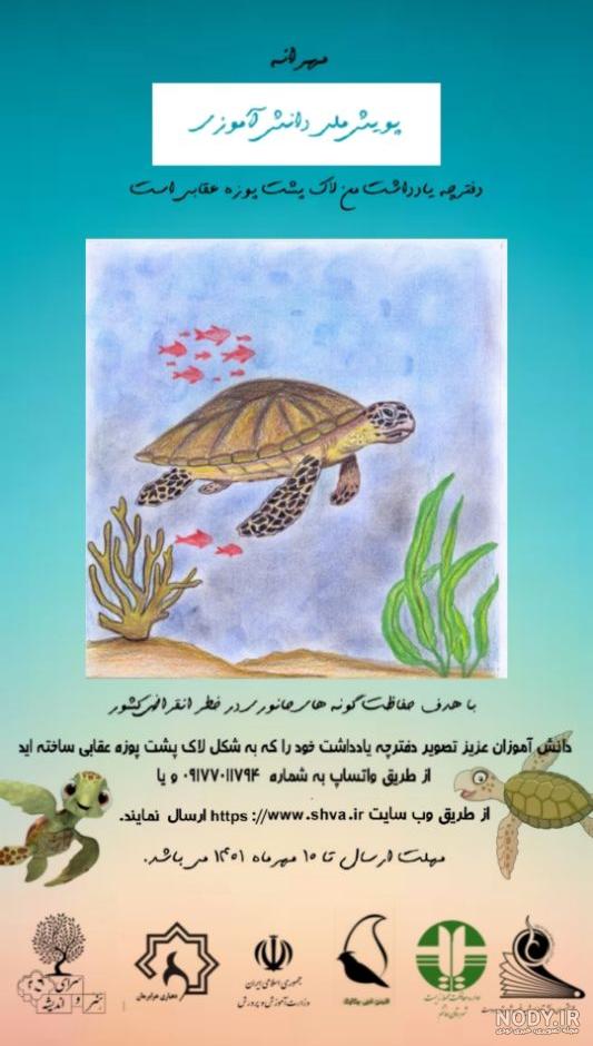 عکس از لاک پشت پوزه عقابی