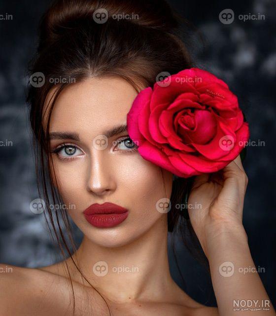 عکس زیبا از گل رز آبی عکس زیبا از گل رز آبی