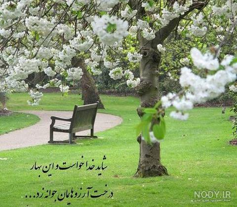 عکس های زیبا بهاری عکس های زیبا بهاری