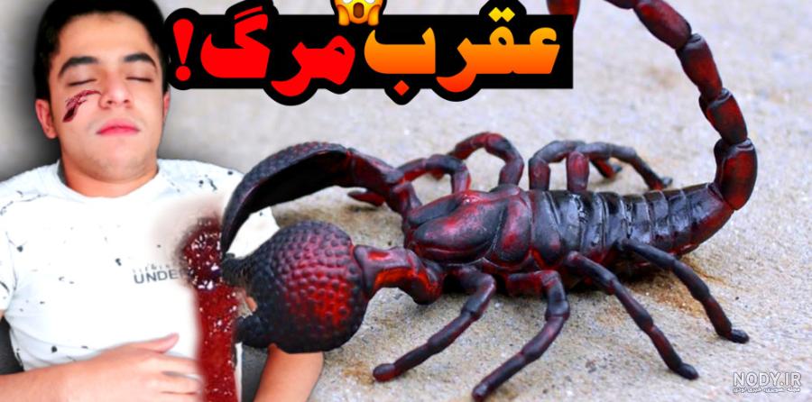 هجوم عقرب‌ به خانه جنوبی‌ها (+عکس)