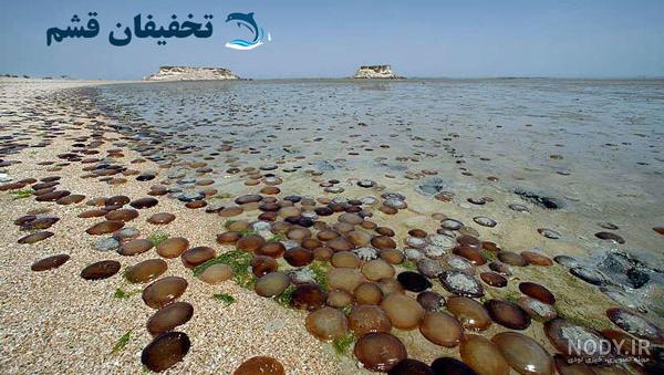 8 تا از تمیزترین و بهترین سواحل قشم که ارزش دیدن دارد! - روم تور مگ 8 تا از تمیزترین و بهترین سواحل قشم که ارزش دیدن دارد! - روم تور مگ