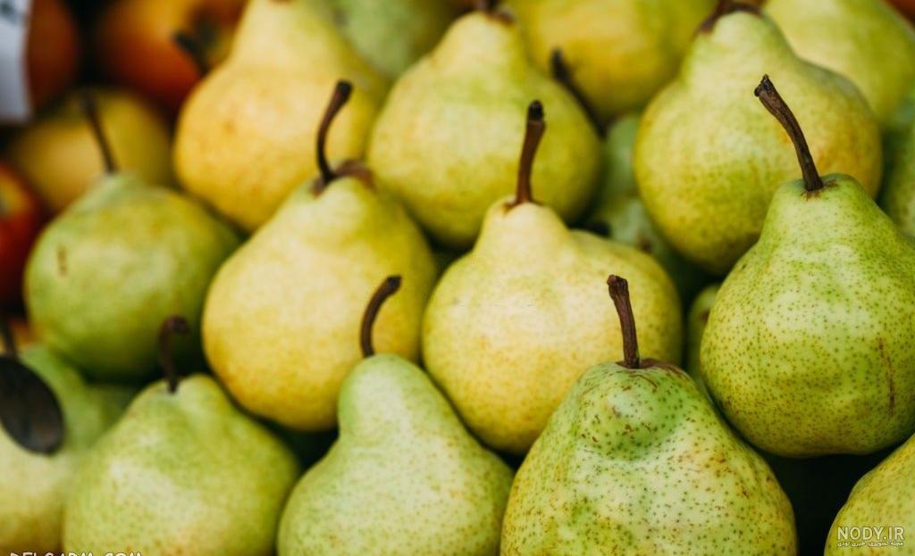 png طرح میوه 71 | متد گرافیک