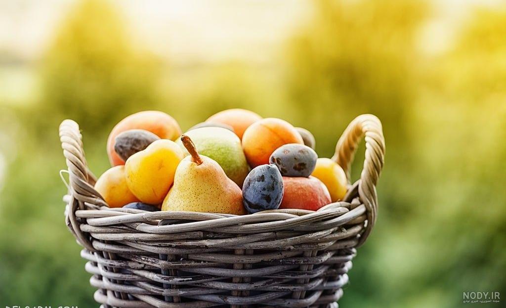 55 عکس دیدنی از گلابی های تازه و خوشمزه