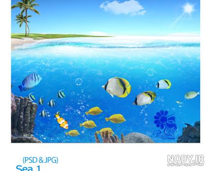 آبزیان - پنجره ای به دنیای کودکان آبزیان - پنجره ای به دنیای کودکان
