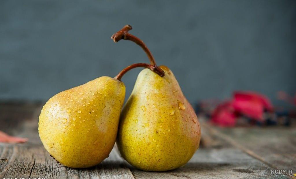 آموزش نقاشی کودکان ، گلابی