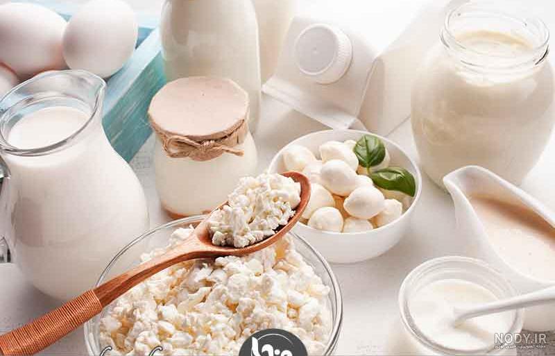 این ماست با همکاری کدام گاوها تهیه شده است! (عکس) این ماست با همکاری کدام گاوها تهیه شده است! (عکس)