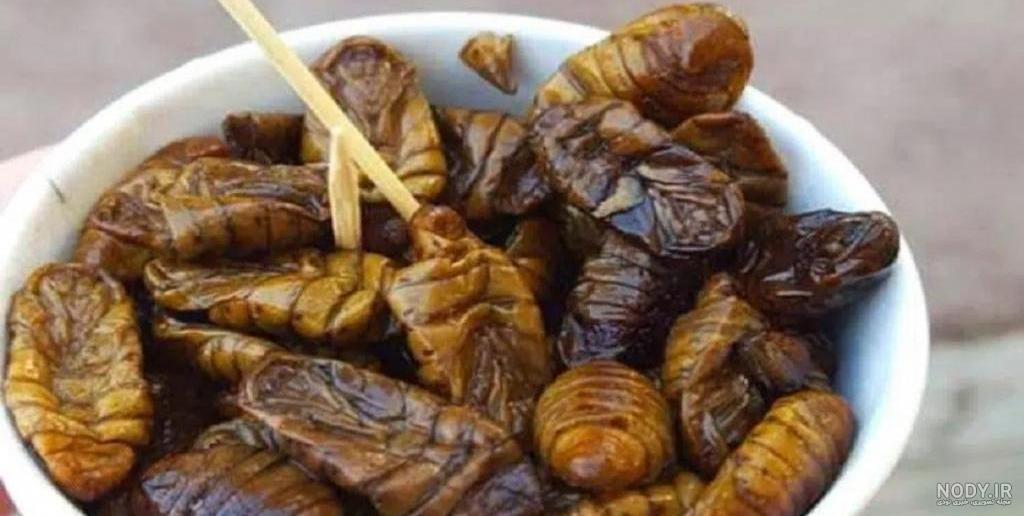 اینا ک فیلم غذا خوردن میزارم چیکار میکنن +عکس | تبادل نظر نی نی سایت اینا ک فیلم غذا خوردن میزارم چیکار میکنن +عکس | تبادل نظر نی نی سایت