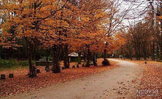 بایگانی‌ها طبیعت - گالری تصاویر نقش