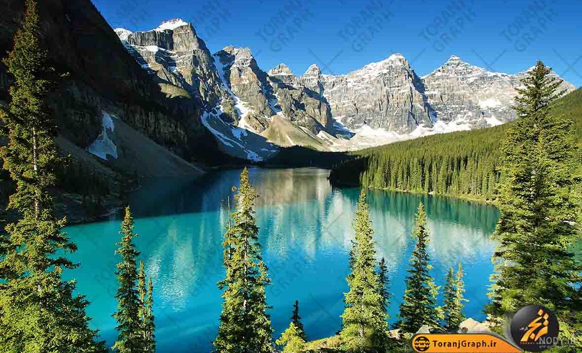 تصویر زمینه جنگل و دریا