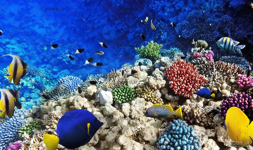دانلود عکس کنار دریا با کیفیت (4K) دانلود عکس کنار دریا با کیفیت (4K)