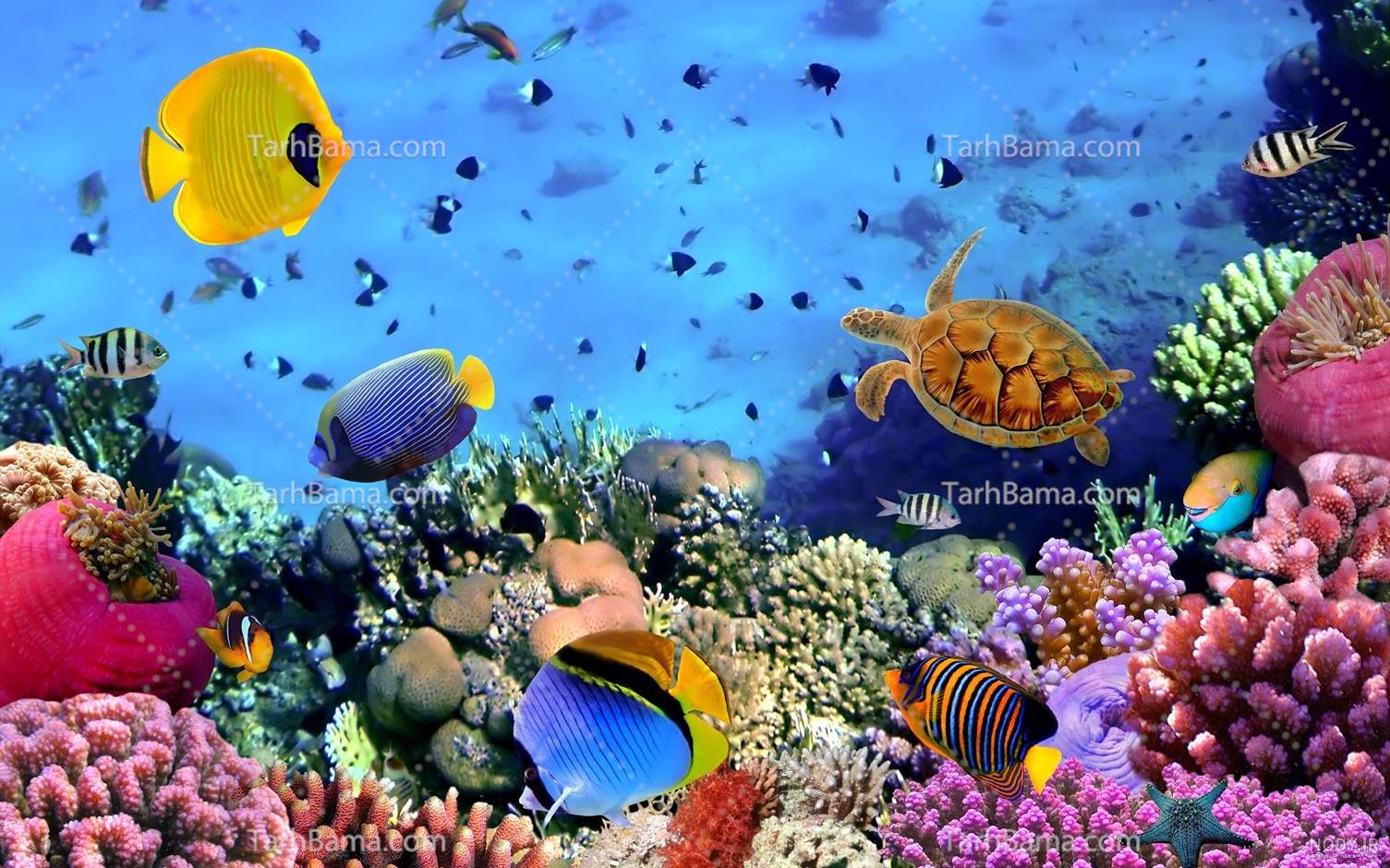 زیردریایی فاتح؛ دست بلند ایران در دریاهای دوردست + عکس