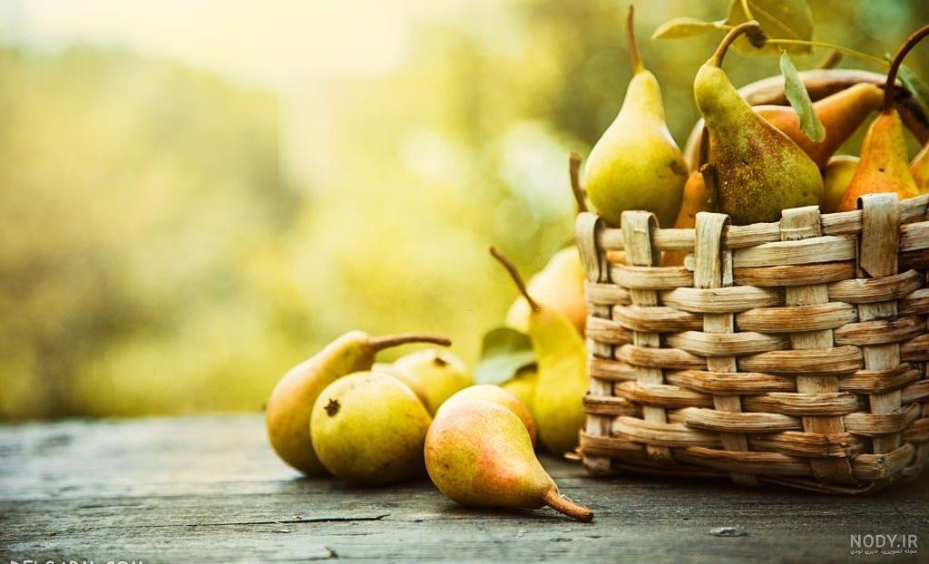 شیک ترین مدل های بالش عروسکی فانتزی و کیوت