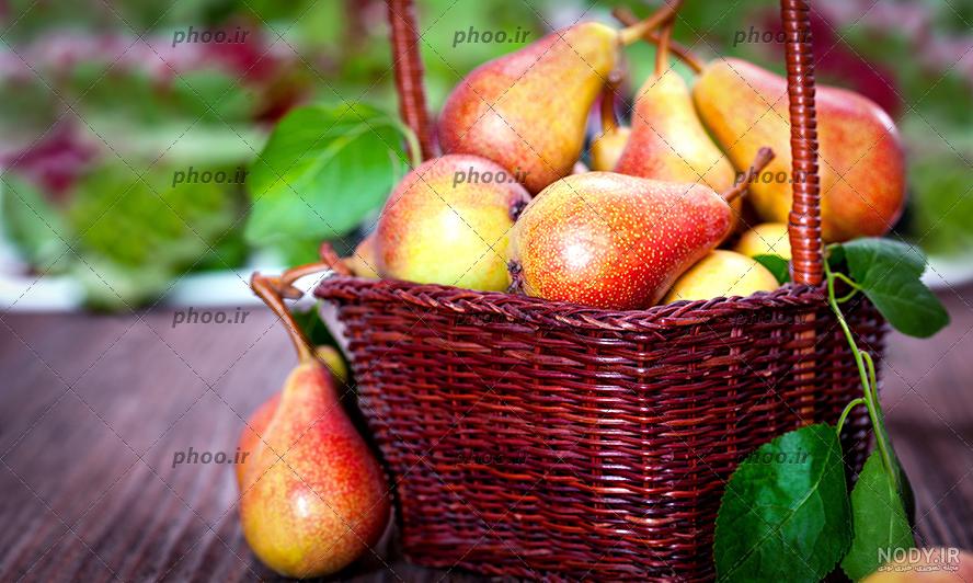 عکس با کیفیت سبد میوه های مختلف گلابی ، انگور ، آلو ، سیب و گردو مناسب شب  یلدا مناسب بونک داران میوه و میدان های میوه و تربار و میوه فروشی