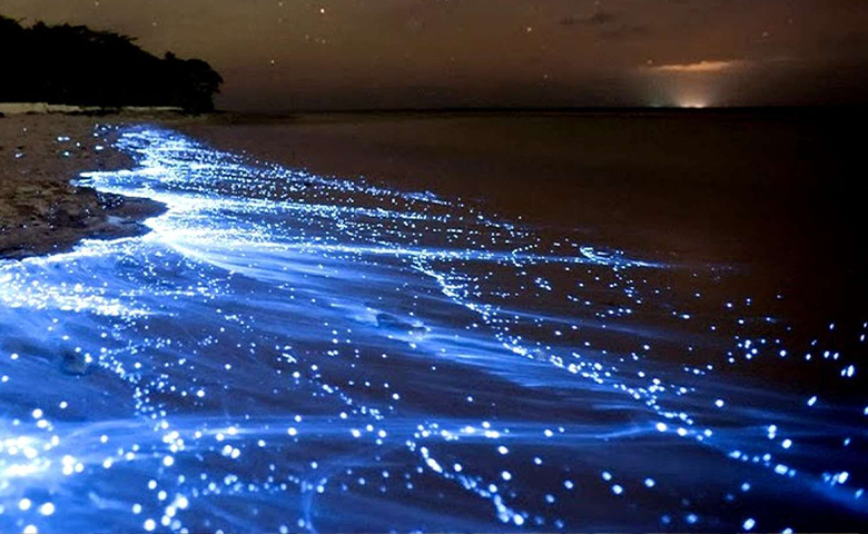 عکس دریا تو شب - عکس نودی