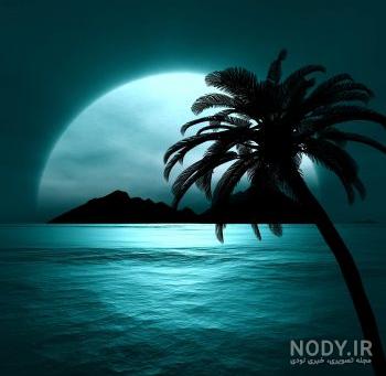 عکس دریا ماهی عکس دریا ماهی