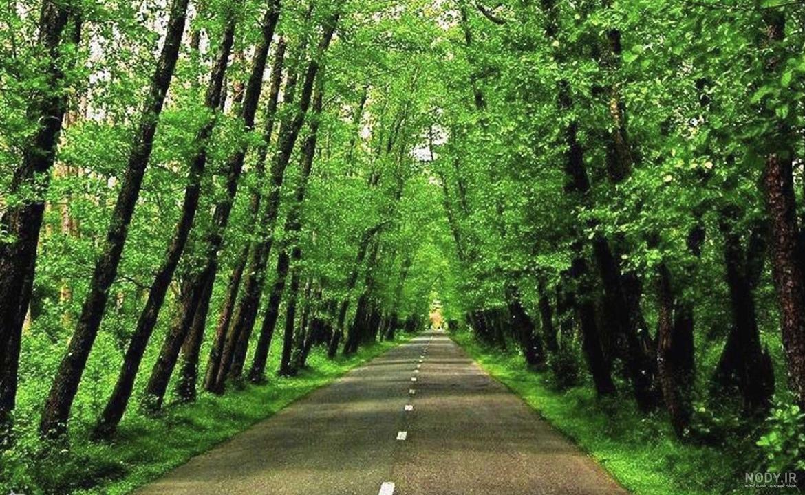 عکس رودخانه و جنگل و کوه با دره های نفس گیر و خیره کننده