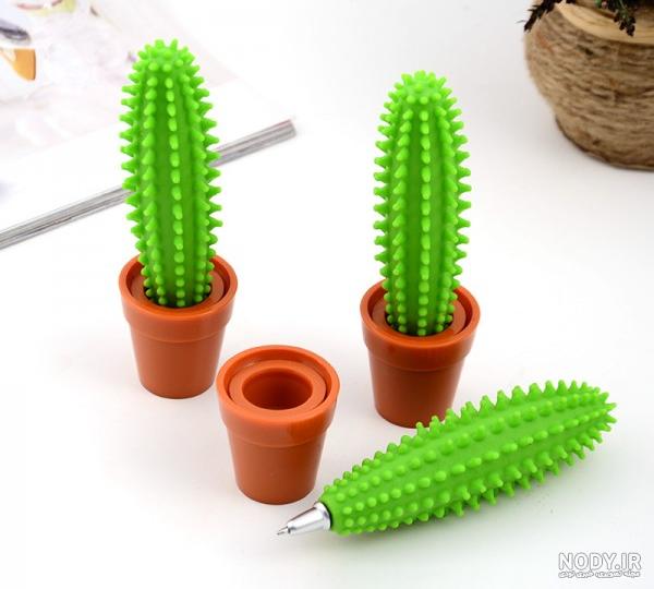 عکس کاکتوس فانتزی - دیجیت باکس - DigitBox