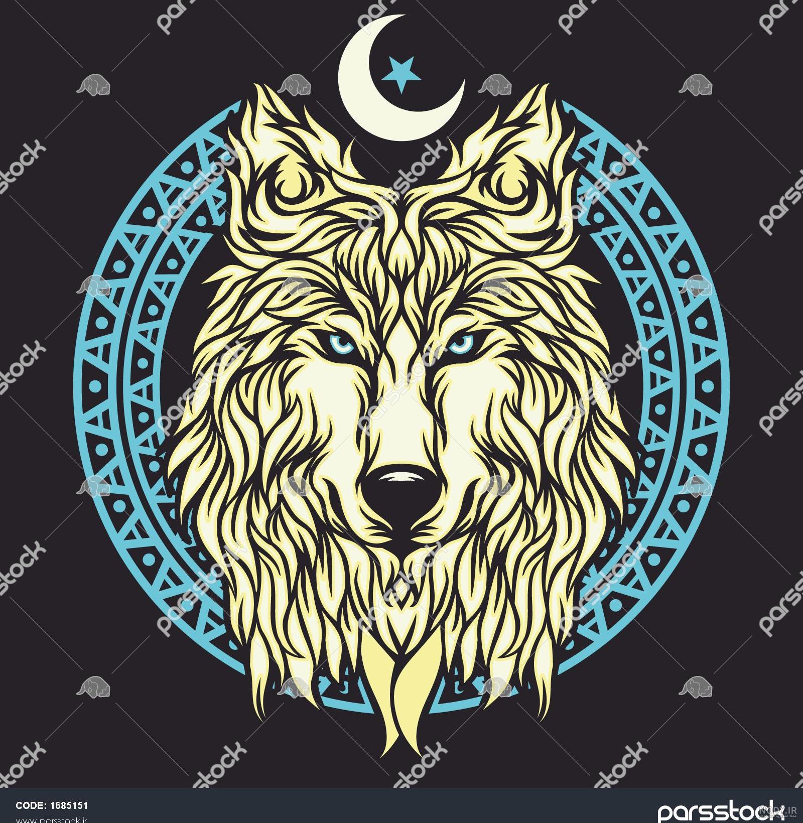 عکس گرگ آذربایجان - عکس نودی عکس گرگ آذربایجان - عکس نودی