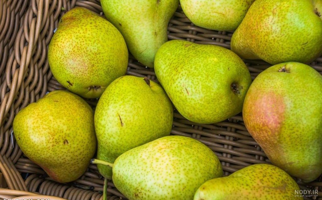 عکس گلابی های تازه داخل سبد و روی زمین در پس زمینه باغ سر سبز – عکس با  کیفیت و تصاویر استوک حرفه ای