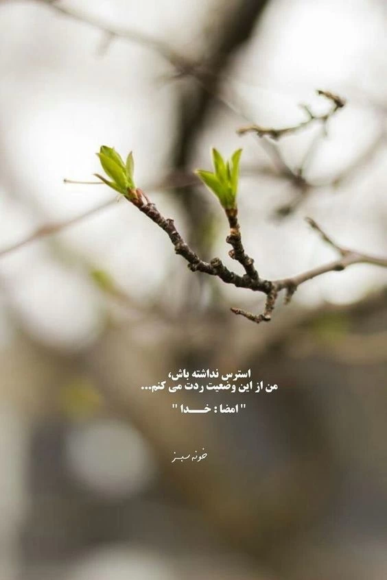 مجموعه عکس نوشته انگلیسی با ترجمه فارسی - ستاره