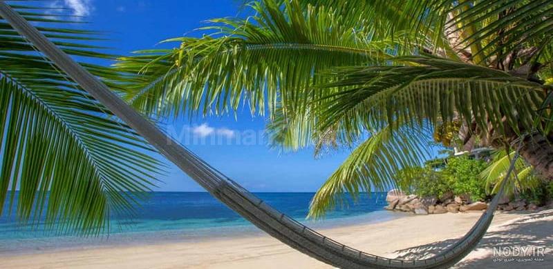 9مورد از بهترین سواحل کیش در روز و شب برای عاشقان دریا و ساحل 🏝️ | مجله لیدوماتریپ 9مورد از بهترین سواحل کیش در روز و شب برای عاشقان دریا و ساحل 🏝️ | مجله لیدوماتریپ