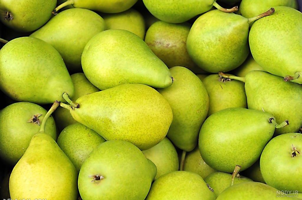 نقاشی گلابی ساده و کودکانه با مراحل تصویری