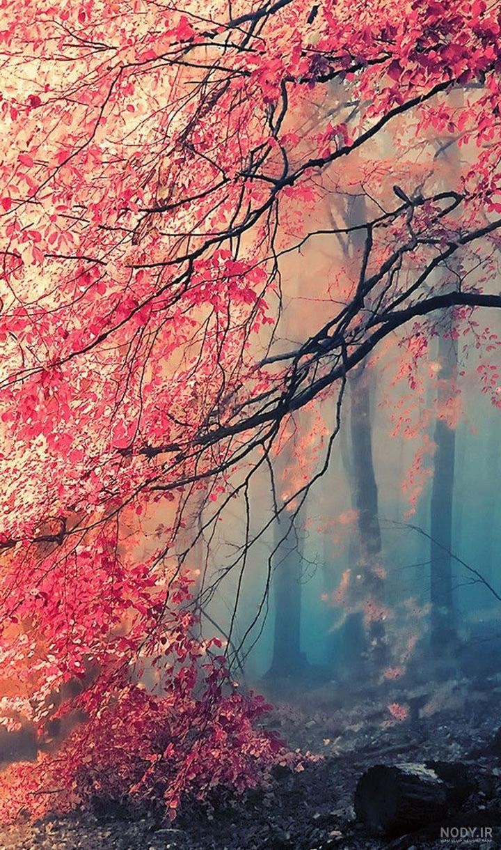 والپیپرهای عاشقانه با کیفیت HD برای موبایل و تبلت · جدید ۱۴۰۳ -❤️ گهر