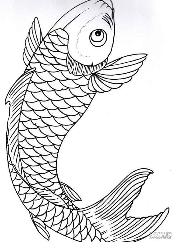 55+ آموزش نقاشی ماهی “🐟” (مرحله به مرحله تصویری + ویدئو)