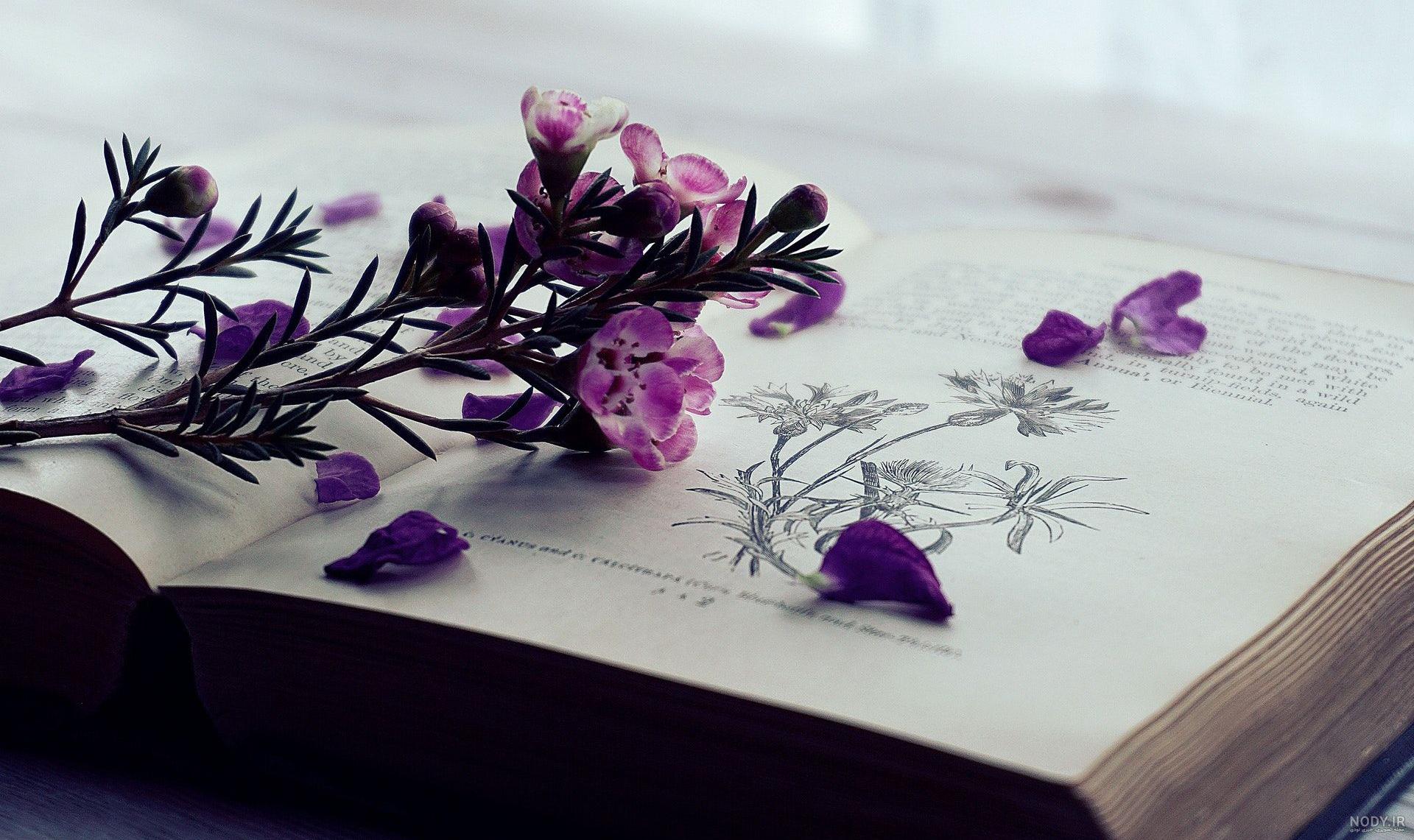 آموزش نقاشی سیاه قلم / نحوه ترسیم دخترک روی کتاب ها