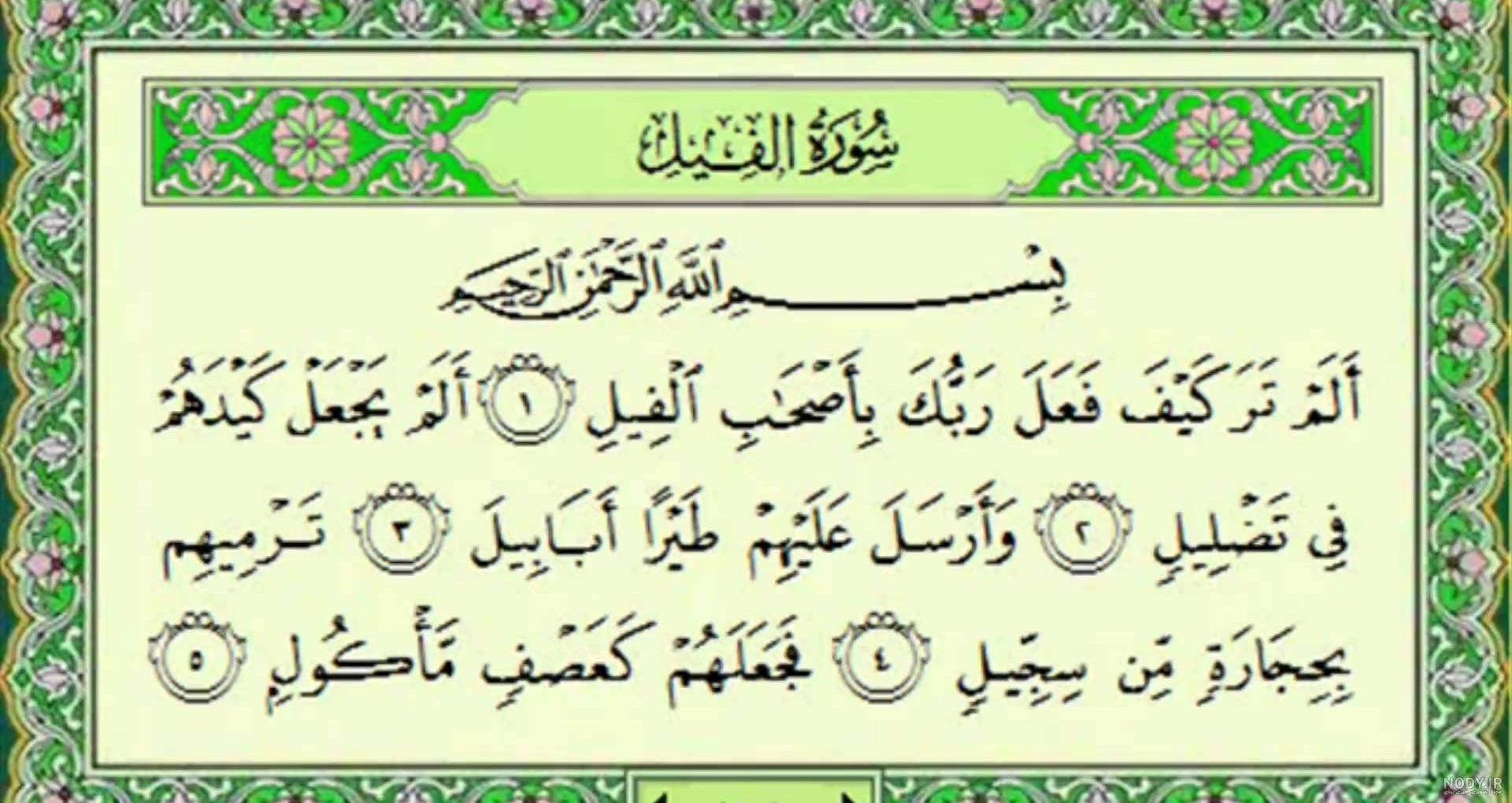 آموزش نقاشی فیل با رنگ آمیزی - مجله نورگرام