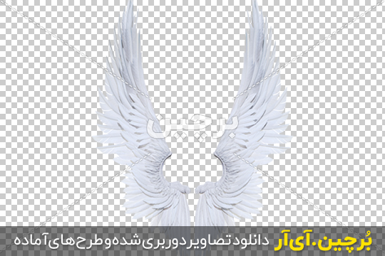 دانلود 20 طرح بال فرشته شیک و لاکچری PSD 133783 - پی اس دی فا دانلود 20 طرح بال فرشته شیک و لاکچری PSD 133783 - پی اس دی فا
