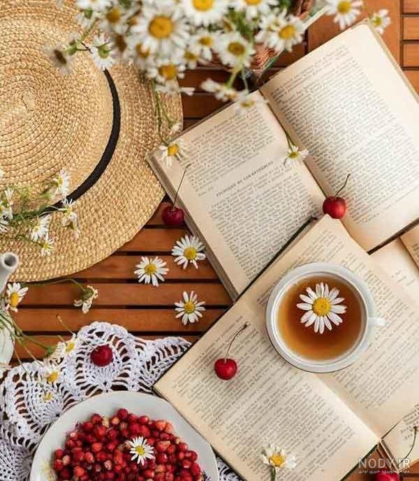 عکس دختر با کتاب برای پروفایل؛ عکس های جدید، فانتزی و کارتونی - ستاره