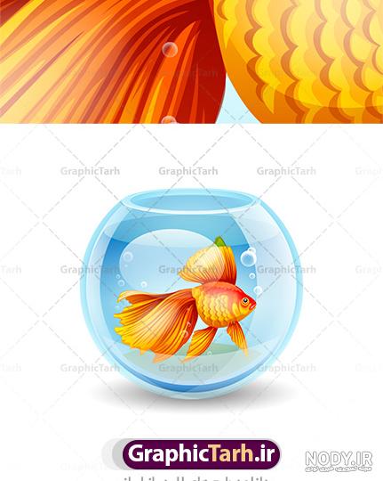 عکس ماهی قرمز شب عید