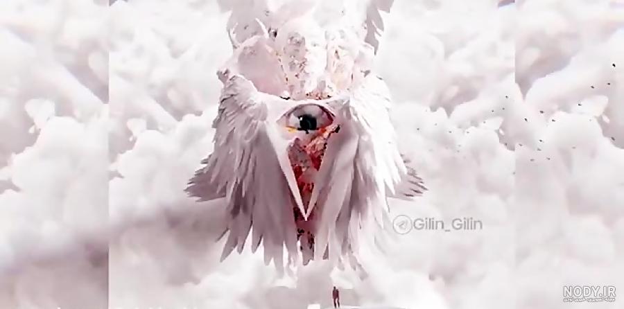 عکس واقعی از فرشته ها