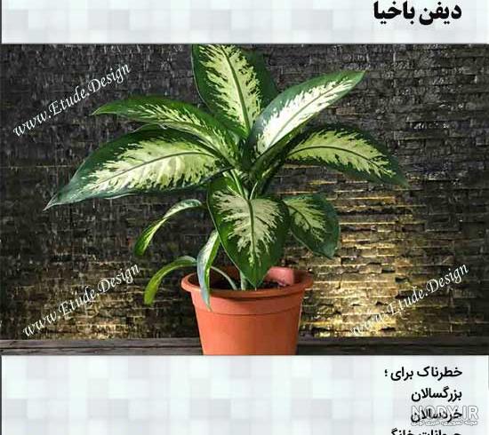 فرش ماشینی پاتریس طرح سی گل فیلی