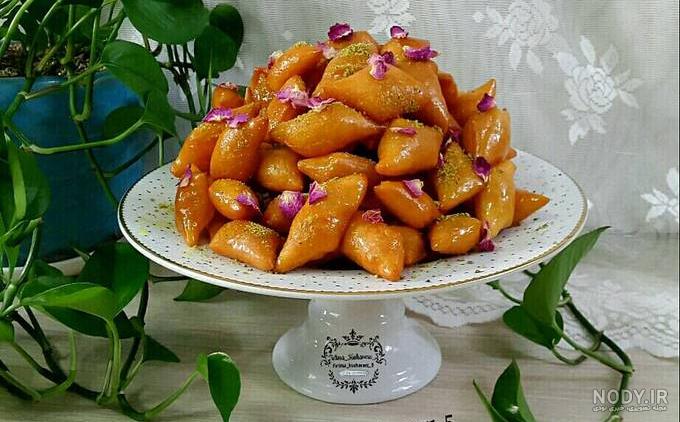 گیاه گوش فیل عکس گیاه گوش فیل عکس