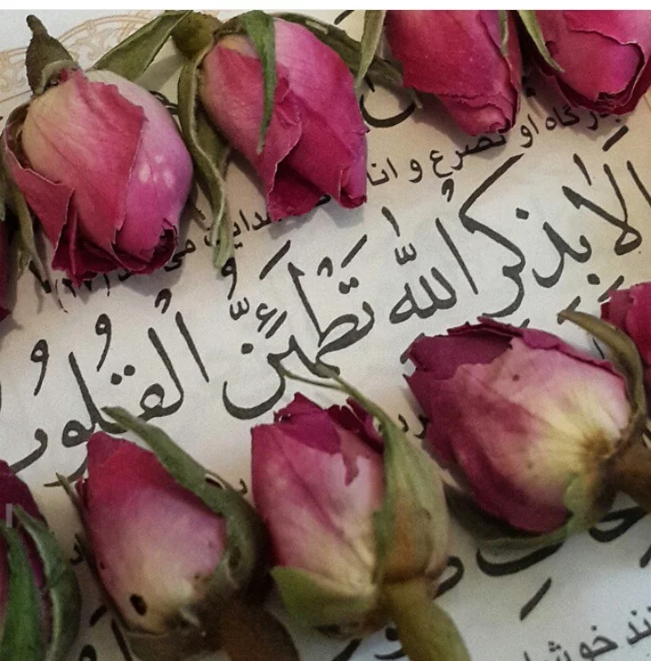 عکس نوشته قرآنی همراه با معنی ویژه پروفایل برای افراد مذهبی