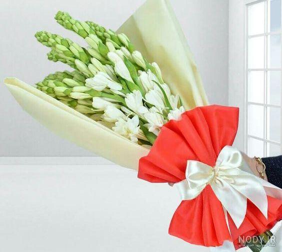 عکس گل مریم برای تصویر زمینه