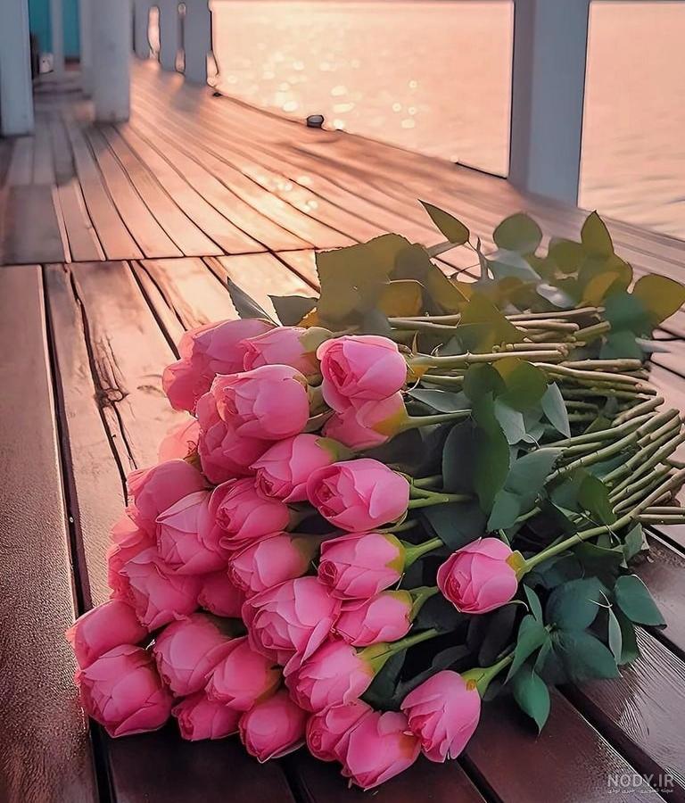 گالری عکس گل رز قرمز؛ عکس هایی جدید و فوق العاده برای پروفایل - ستاره گالری عکس گل رز قرمز؛ عکس هایی جدید و فوق العاده برای پروفایل - ستاره
