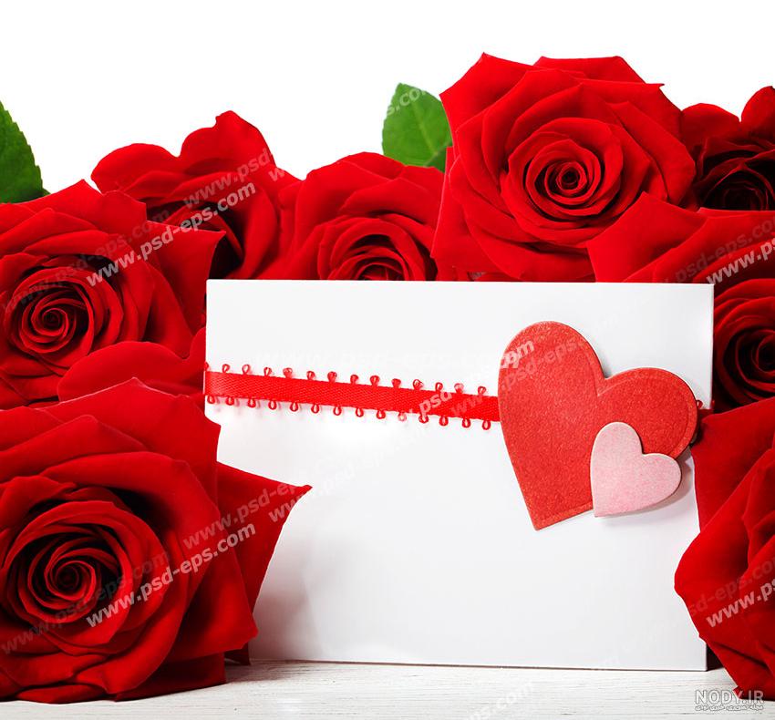 گل رز طراحی شده با دست به شکل قلب قالب وکتور 1693138 گل رز طراحی شده با دست به شکل قلب قالب وکتور 1693138