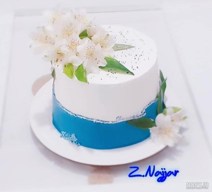 عکس کیک تولد ابی و سفید عکس کیک تولد ابی و سفید