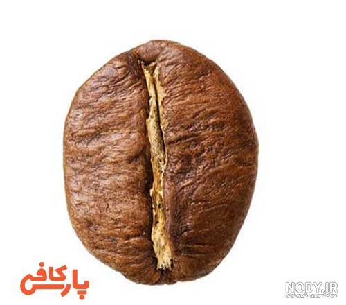 انواع قهوه روبوستا اصل و باکیفیت + خرید آنلاین با قیمت مناسب انواع قهوه روبوستا اصل و باکیفیت + خرید آنلاین با قیمت مناسب