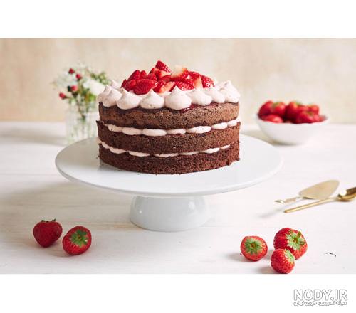 دستور پخت کیک توت فرنگی خیلی آسان برای تعطیلات! دستور پخت کیک توت فرنگی خیلی آسان برای تعطیلات!