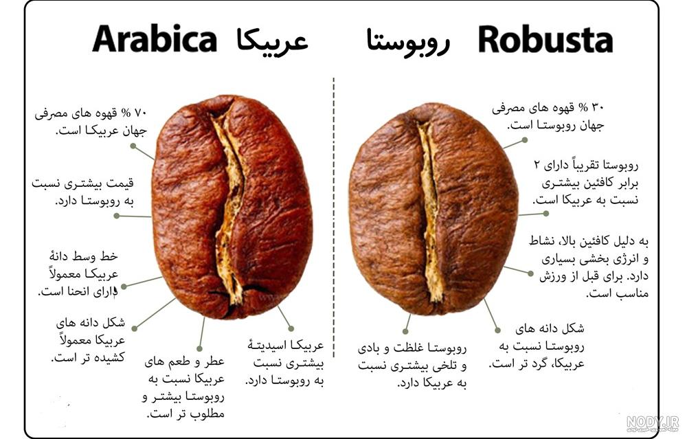 عکس قهوه روبوستا عکس قهوه روبوستا